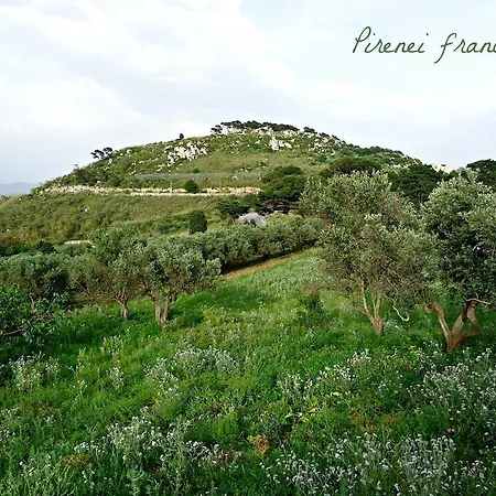 Bed & Breakfast San Giuseppe *